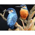 Vintage Limited Edition Coalport Kingfishers Bird Collection - Number 3078/4950