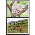 ZAMBIA 1999 CAT BREEDS (PERSIAN CAT) MINI SHEET + 1999 DOG (WHIPPET) MINI SHEET. UMM. NICE THEMATICS