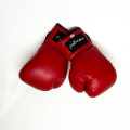 Maxed (Mr Price Sports) 12 oz Red Training Boxing Gloves - NO RESERVE AUCTION