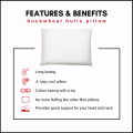Buckwheat Pillows JUST ARRIVED!