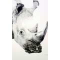 Original Painting by Lorna Pauls - Rhino Black & White (37 x 28 cm or 14.5 x 11")