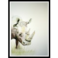 Original Painting by Lorna Pauls - White Rhino (559 x 381 mm or 22 x 15 in)