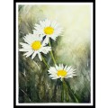 Original Painting by Lorna Pauls - Daisies 1 (37 x 28 cm or 14.5 x 11")