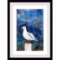 Original Painting by Lorna Pauls - Seagull 2 (55cm x 37.5cm or 21.5" x 14.5")