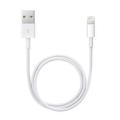 Apple Cable, Apple Lightning to USB Cable 1m