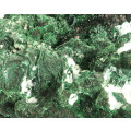 Plancheite on Malachite Cluster, Mashamba West Mine, DRC