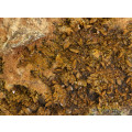 Sturmanite on Matrix, N`Chwaning II, Northern Cape, South Africa