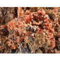 Hematite & Andradite Garnet on Matrix, N`Chwaning II, Northern Cape, South Africa