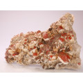 Red Hematite incl Quartz Cluster, Orange River Area, Northern Cape, South Africa