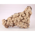 Olmiite Cluster, N`Chwaning II, Northern Cape, South Africa