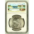 UNION OF SOUTH AFRICA 1950 FIVE SHILLINGS GRADED MS63 BY NGC