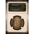 "TOP POP" UNION OF SOUTH AFRICA 1950 HALFCROWN GRADED MS65 BY NGC