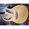 Stagg acoustic guitar with builtin amp