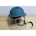standard cricket helmet