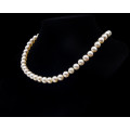 Single strand Freshwater Pearl Necklace with a Costume Jewellery Clasp