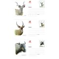 South Africa - 1997 6th Definitive Antelopes Postcard Set