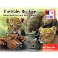 South Africa - 2012 Baby Big Five Booklet SACC 2226