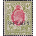OFS 1903 SACC89s 4d SCARLET and SAGE-GREEN ``SPECIMEN`` - MNG