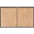 BECHUANALAND 1895 2d BISTRE PAIR, ONE WITH NO DOTS TO ``i`` OF ``British`` - UNMOUNTED MINT -SCARCE