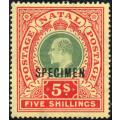 NATAL SACC143s 5/- GREEN & RED ON YELLOW ``SPECIMEN`` - MM