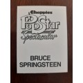 Chappies Pop Star Spectacular - Bruce Springsteen