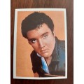 Chappies Pop Star Spectacular - Elvis Presley