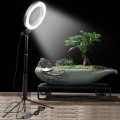 LED Ring Light 10-inch with Tripod Stand Selfie Ringlight Video Photpgraphy Lamp for Youtube Makeup