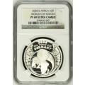 PF69 UC - 2005 Silver Proof R2 - FIFA World Cup Germany