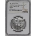 MS69 - 2015 Silver Uncirculated R1