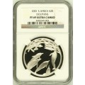 PF69 UC - 2001 Silver Proof R2 - Dolphins