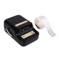 Niimbot B21 Portable Thermal Label  Printer with 2 label rolls (1 white, 1 white jewelry)-Black