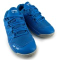 Karakal Pro Lite (Blue) Squash Shoe