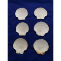 6 Large White Scallop Shells for Crafts, Baking, Cooking around 4.5` to 5` (13.5cm) SALE!