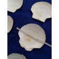6 Large White Scallop Shells for Crafts, Baking, Cooking around 4.5` to 5` (13.5cm) SALE!