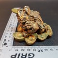 Golden Chinese Lucky Money Frog