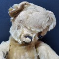 Original Collectible Antique Bear