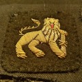 RARE!!! Arm Badges (Regimental Cloth) Princess Of Wales's Royal Regiment (Gold Tiger)