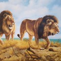 LARGE Original Oil on Stretched Canvas by LO Botes (1500mm x 1000mm)