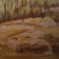 Original G Massey South African Landscape Oil on Board (400mm x 350mm)