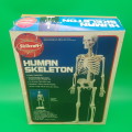 Original SKILCRAFT Human Skeleton Model - Complete With Stand!!!