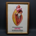 Framed Original Vintage Amoxil Embossed Medical Promotional Doctors Aid!!!