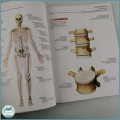 Illustrated Guide To The Human Body!!!
