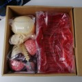 Super Cool!!! Large Transparent Gummi Bear Anatomy Model - Complete, Never Built!!! RED