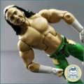 2011 WWE Matt Hardy Articulated Action Figure!!!
