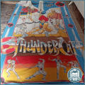 Amazing Vintage Thundercats 1985 Single Duvet Cover!!!