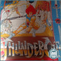 Amazing Vintage Thundercats 1985 Single Duvet Cover!!!