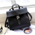Simply design all-match lady bag. Black color. Stock in ZA.