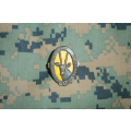 8 SAI Beret Badge
