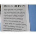 BIRDS OF PREY - NICHOLAS HAMMOND & BRUCE PEARSON - HAMLYN BIRD BEHAVIOUR GUIDES