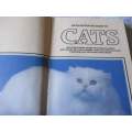 AN ILLUSTRATED GUIDE TO CATS - DOROTHY SILKSTONE RICHARDS